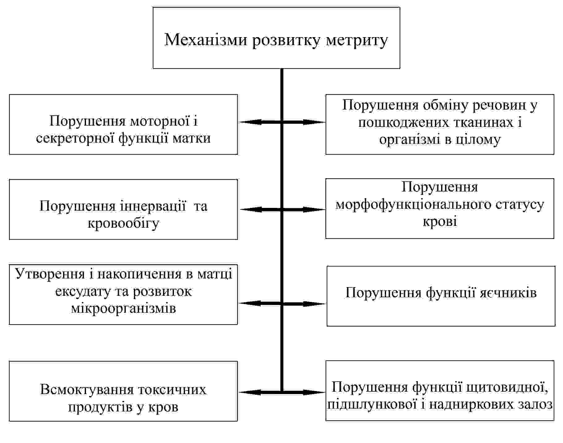 механізми розвитку метриту в корів