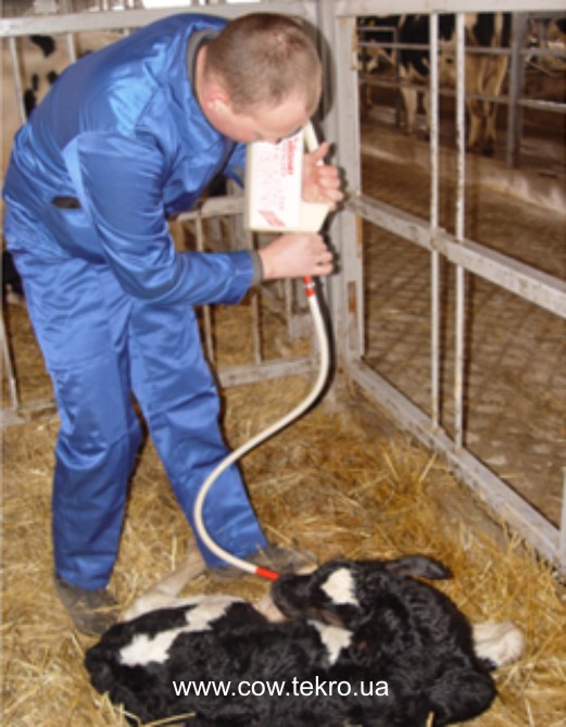 Pasyvne vypoyuvannya molozyva za dopomogoyu zonda