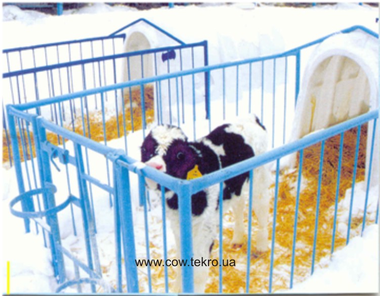 Utrymannya telyaty v indyvidualnomu budynochku za mezhamy prymishhennya