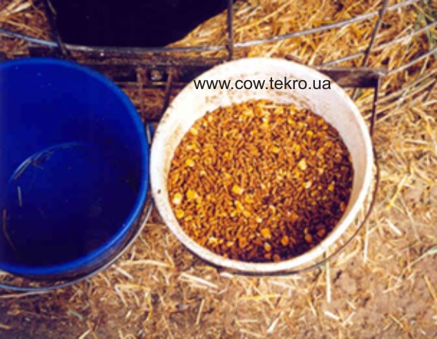 Vidra dlya napuvannya ta kombikormiv