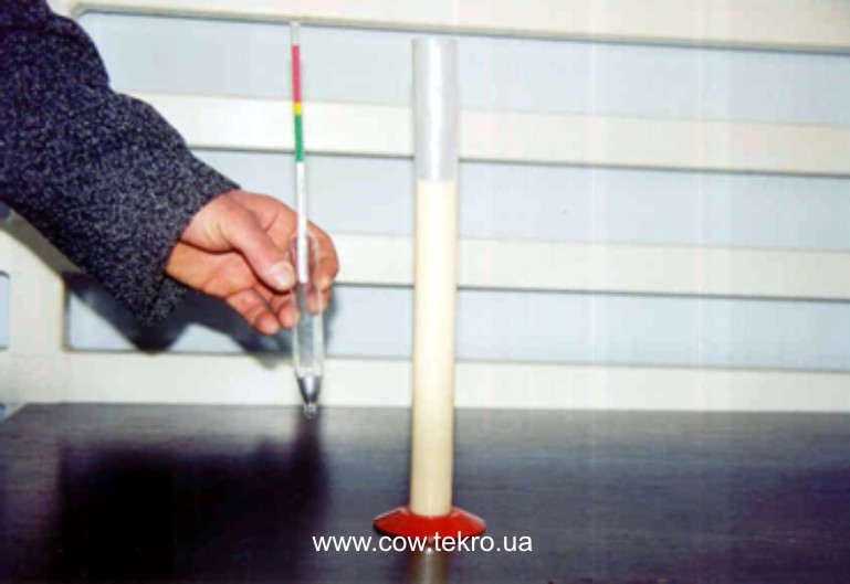 Vyznachennya vmistu imunoglobuliniv v molozyvi