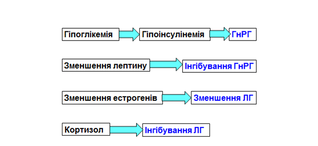 Defitsyt enerhii pryzvodyt do lipohlikemii ta hipoinsulinemii 6