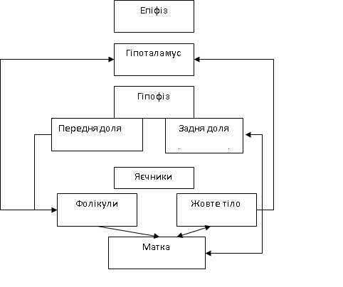 Fіzіologіchnі mehanіzmi reguljuvannja vіdtvornoї funkcії u korіv