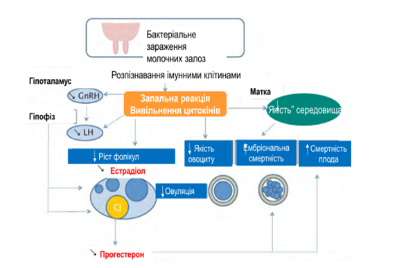 Rozvytok embrionalnoi smertnosti 9