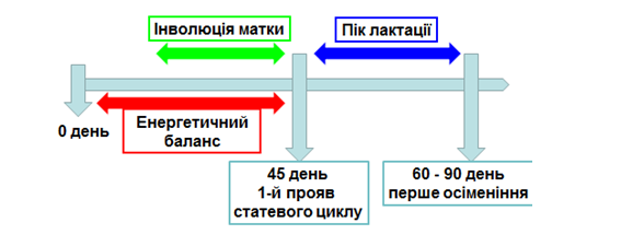 Vazhlyvist enerhetychnoho balansu 3