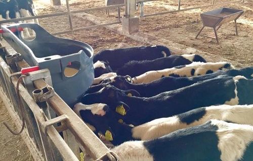 Follow the Teat Equipment Milk Bar Training NEW Solutions