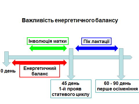 Vazhlivіst energetichnogo balansu