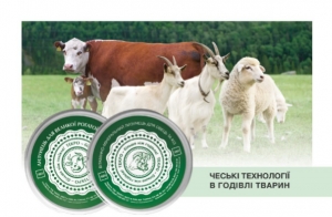 ОПТИМІЗАЦІЯ ВІТАМІННО-МІНЕРАЛЬНОГО ЖИВЛЕННЯ ОВЕЦЬ ТА КІЗ: ЧОМУ ЦЕ ВАЖЛИВО?