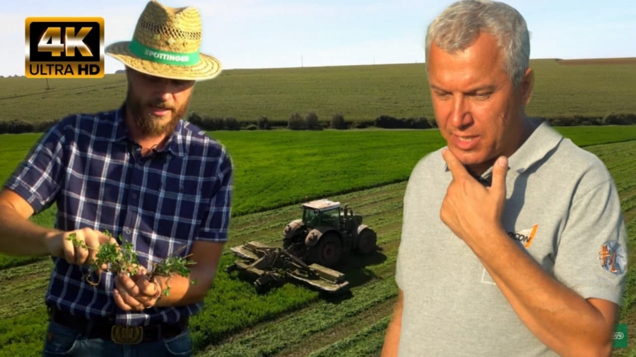 ЛЮЦЕРНА догляд та живлення вирощування ЛЮЦЕРНИ підвищення врожайності ЛЮЦЕРНОВОГО ПОЛЯ | TEKRO 2ч