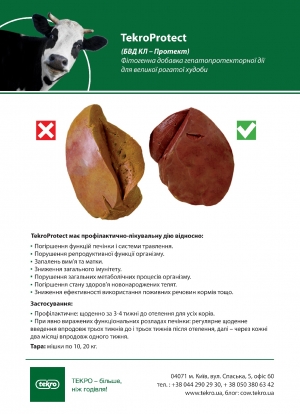 Текрофорте