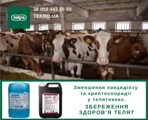 Зменшення кокцидіозу та криптоспоридії у телятниках. Збереження здоров&rsquo;я телят