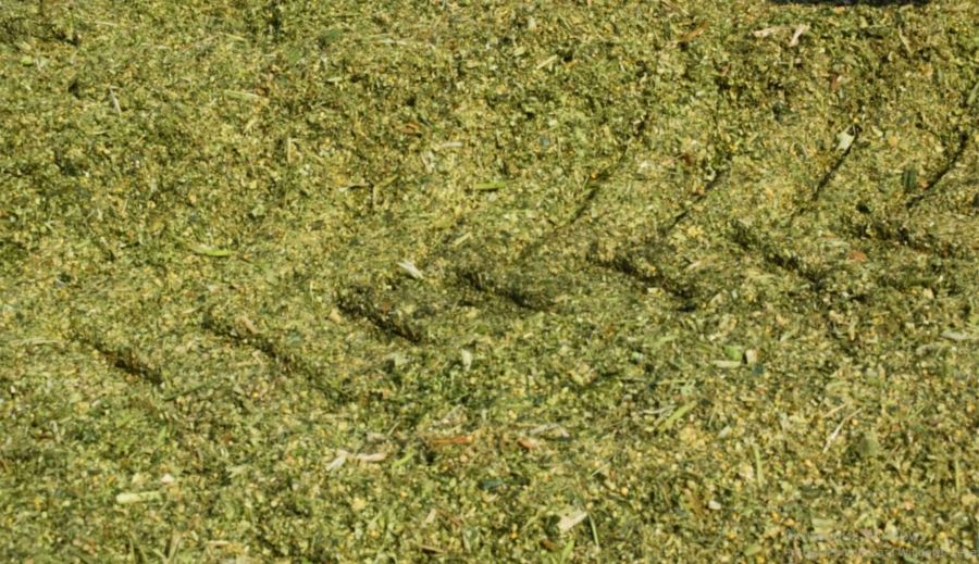 П'ятдесят відтінків силосу