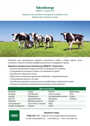 ТекроЕнерджі