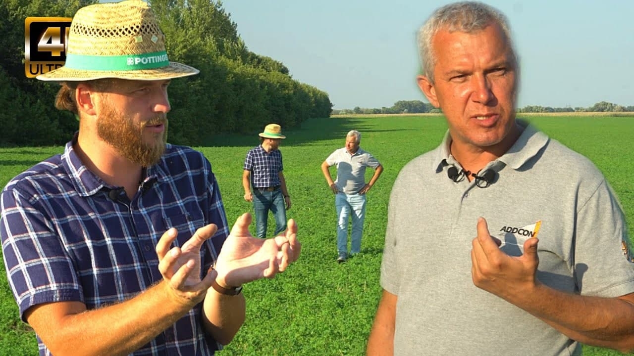 ЛЮЦЕРНА ВІД А ДО Я | ВИРОЩУВАННЯ ЛЮЦЕРНИ та особливості догляду | ПРИБУТОК на ЛЮЦЕРНІ | TEKRO 1ч