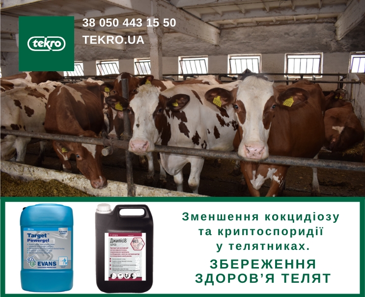 Зменшення кокцидіозу та криптоспоридії у телятниках. Збереження здоров’я телят